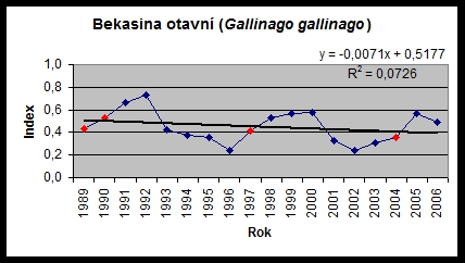 bekasina2.jpg