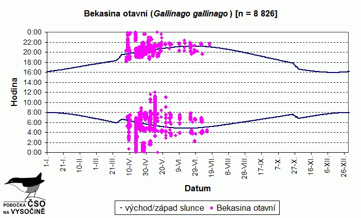 bekasina3.jpg