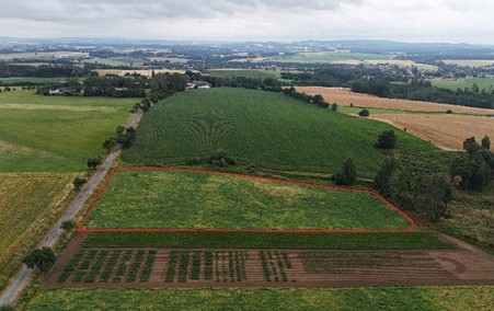 Projektová lokalita