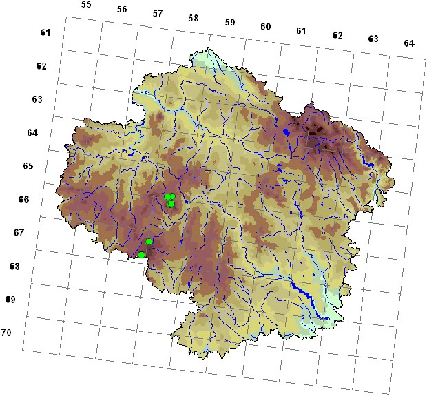 Mapa výskytu - muchomůrka hnědožlutá - Amanita fulva