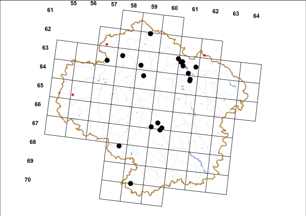 Mapa výskytu - blednička útlá - Boettgerilla pallens
