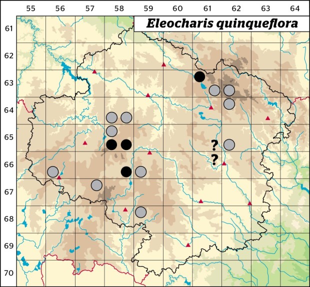 Mapa výskytu - bahnička chudokvětá - Eleocharis quinqueflora