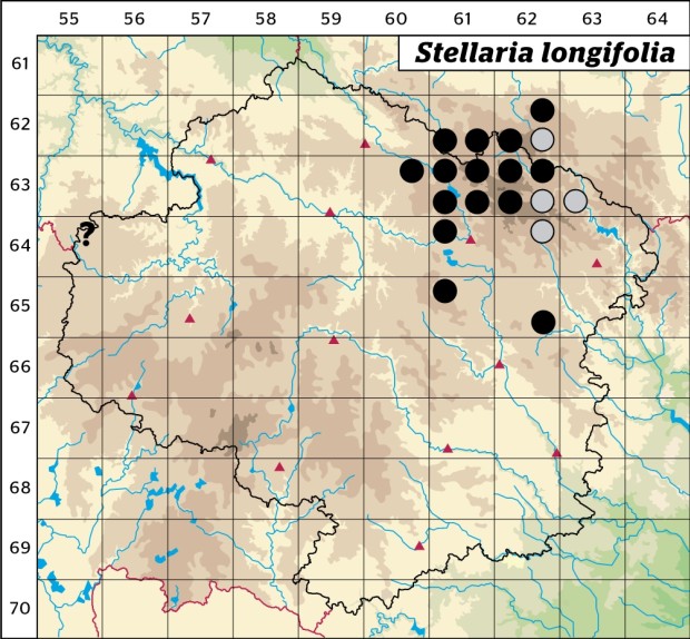 Mapa výskytu - ptačinec dlouholistý - Stellaria longifolia