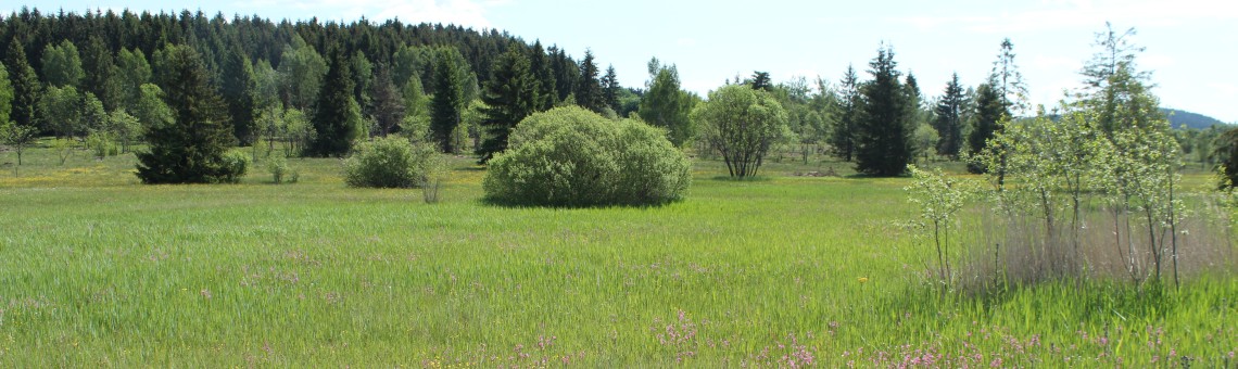 PR Na Oklice, Milíčov u Jihlavy [JI] - foto Ester Ekrtová