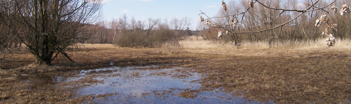 PR Doupský a Bažantka, Doupě [JI] - 7.4.2006, foto Vojtěch Kodet