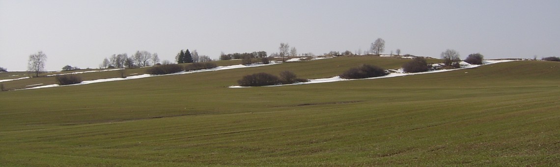 Kostelec u Jihlavy [JI] - 18.3.2004, foto Vojtěch Kodet