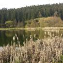 Šamonín, 16.4.2016, foto Vojtěch Kodet