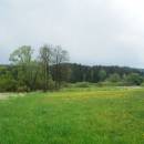 NPP Jankovský potok, 21.5.2015, foto Vojtěch Kodet