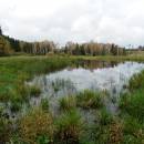 PR Chvojnov, 14.10.2014, foto Vojtěch Kodet