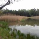 ryb. Abrahám, 9.5.2015, foto Vojtěch Kodet