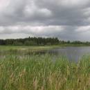Olešský rybník, 8.7.2009, foto Vojtěch Kodet