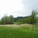 NPP Jankovský potok, 21.5.2015, foto Vojtěch Kodet