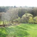 EVL Jedlový les a údolí Rokytné, 20.4.2015, foto Vojtěch Kodet