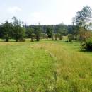 PR Rašeliniště Loučky, 4.9.2014, foto Vojtěch Kodet