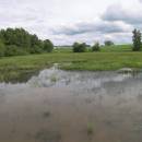 Mokřad Veselík, 27.5.2005, foto Vojtěch Kodet