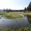 PR Chvojnov, 5.4.2016, foto Vojtěch Kodet